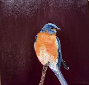 Returned Bluebird  by Chloe OShaughnessy