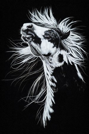 Tempest by Lisa Clark