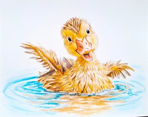 Buoyant by Lisa Clark (2026)