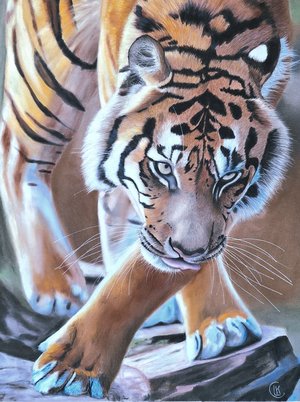 The Prowl by Lisa Clark (2023)