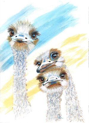 The Neighborhood Watch by Lisa Clark (2026)