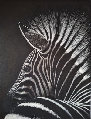 Shadow and Light by Lisa Clark (2025)