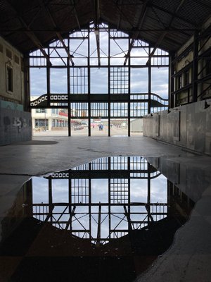 Lori Krein — portfolio