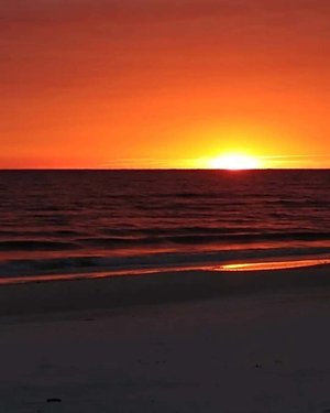  Beacon Hill Beach Fallish by Theresa Lenahan-Downs