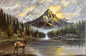 Where the Light Falls by Richard Bradford (2026)