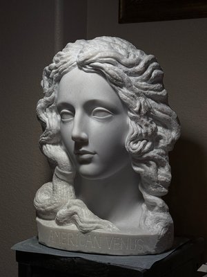 American Venus by zhou xu