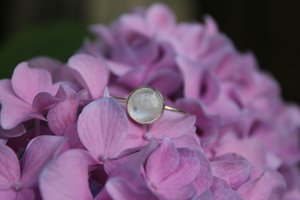 Moonstone Ring  by Anastasia Ricks (2026)