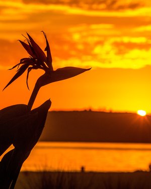 Paradise Sunset by Bill Sandke