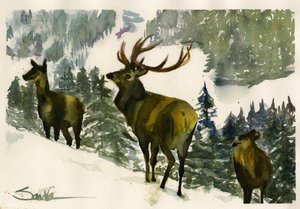 Winter Elk by Sandra Stone (2023)