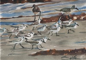 Shore Birds by Sandra Stone (2016)