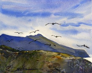 Channel Islands Flyers by Sandra Stone (2015)