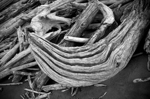 Whale Beach by Andrew Ferko (2008)