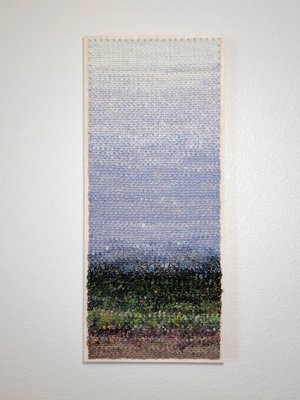 Kalaupapa Overlook in the Rain by Connie Lee Lynch (2025)