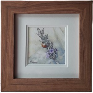 Lady Lavender by Pamela Cawood