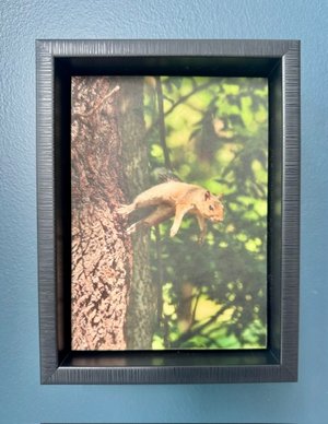 Parkour Squirrel by Terry Thiele (2026)