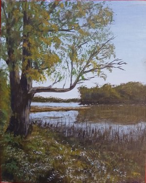 Bristol Lookout-North by Carmen Bertolino (2026)