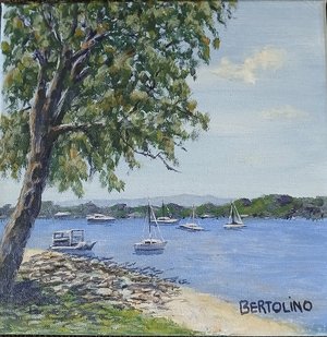 Noosa River by Carmen Bertolino (2025)