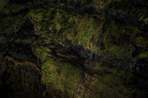 Updraft by Sean Faden (2026)