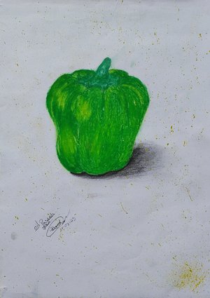 The green paper  by Andri Bock (2023 )