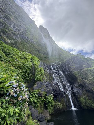 Waterfall Bliss by Michele Deitch (2026)