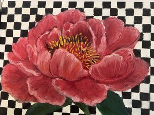 Suzanne Ryle — portfolio