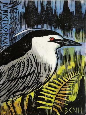 BCNH by Polly Perkins (2023)