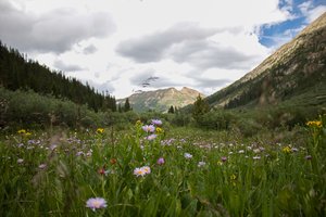 Independence Pass by Matthew Spencer