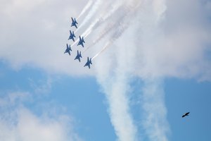 Bald Eagle with Blue Angels by Matthew Spencer