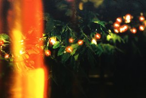 Night Scene by Matthew Spencer