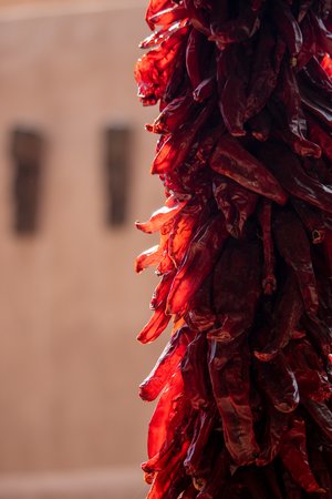 Chilies  by Matthew Spencer