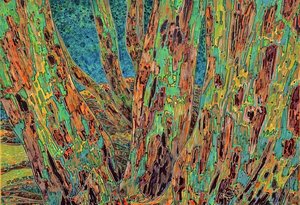 California Tree by 宏涛 孙 (2026)