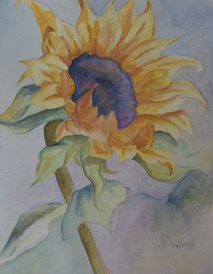 Sunflower by Maria Norton (2026)