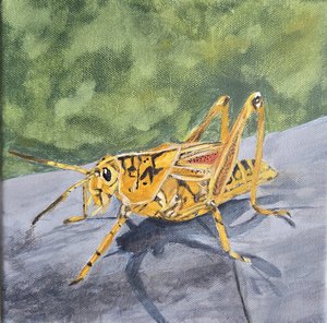 Grasshopper by Maria Norton (2026)