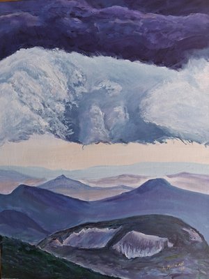 Ann Millard