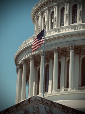 Land of the Free- DC Capitol Rotunda by Jenna Abul (2026)