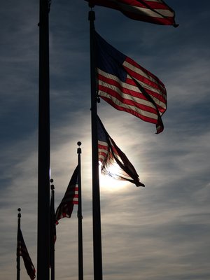 Broad Stripes and Bright Stars- DC Capitol Rotunda  by Jenna Abul (2026)