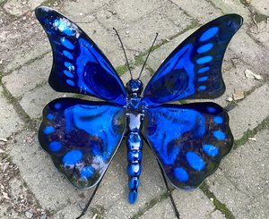 Skull Butterfly  by Sean Ions (2026)