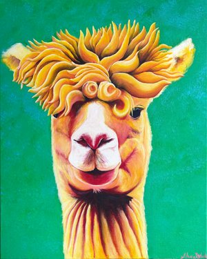 Shana_Ryback_"Comb._Hair._Don't_Care." by Shana Ryback
