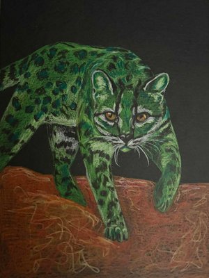 On The Prowl by Shana Ryback (2026)