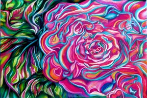 Pink Family Rose Print by Martha Greiner (2014-current)