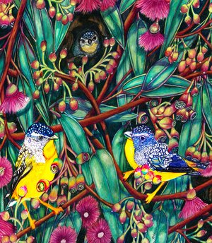 40 Spotted Pardalote Bird Print  by Martha Greiner (2026)