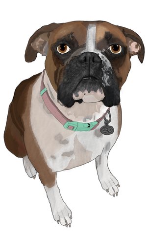 Bubba by Faith Kaske (2026)