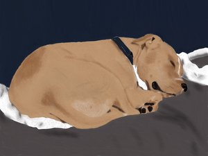 Sleeping cute by Faith Kaske (2026)