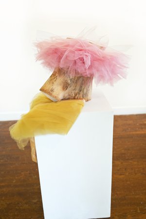 Le Nouveau Tutu de la Petite Danseuse by Stacey Chinn-Hart (2026)