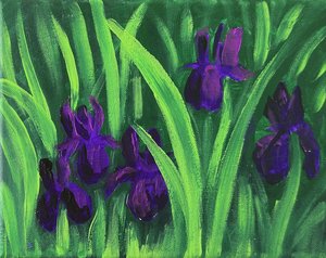Iris by Kaitlyn Synan (2026)