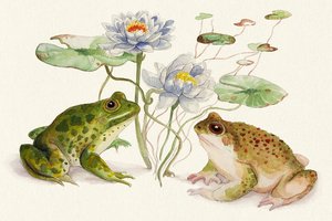 Frog & Toad by Bailey Gaver (2022)