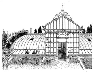 Greenhouse by Bailey Gaver (2019)