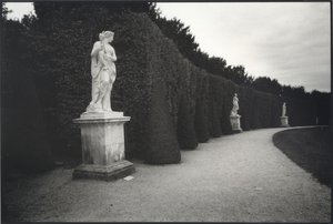 Versailles by Don Yee (2026)