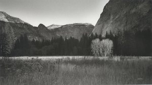 Yosemite Valley by Don Yee (2023)
