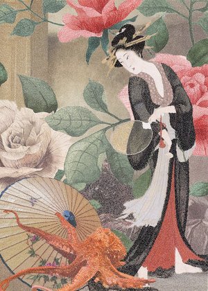 Donna Faranda — portfolio